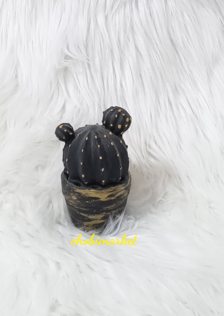 Saksida kaktüs silikon kalip