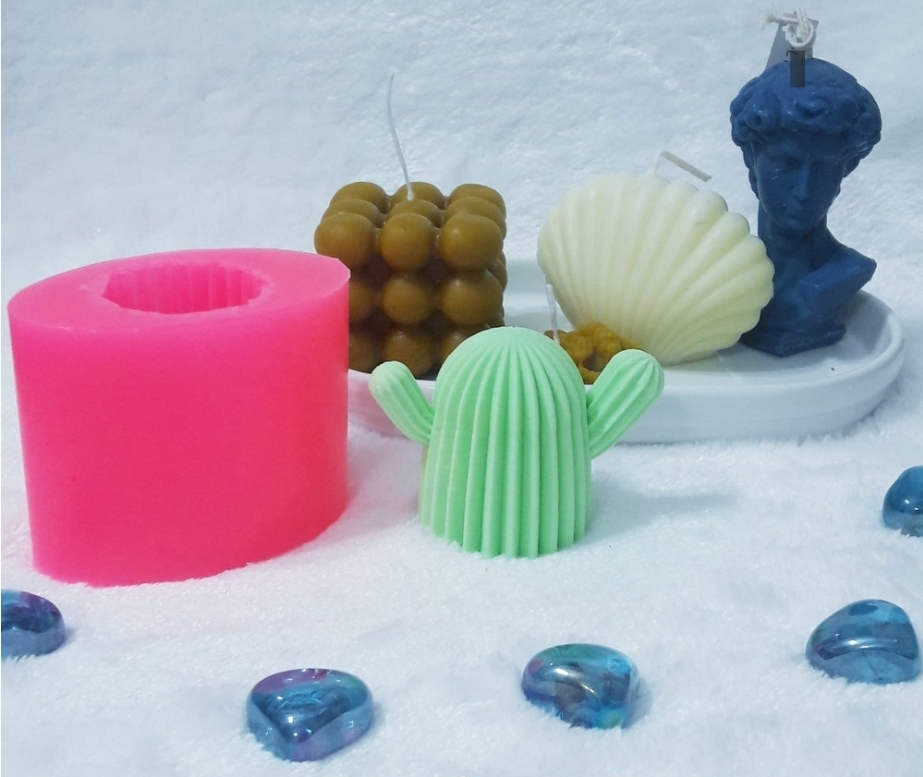 Kaktüs silikon kalip