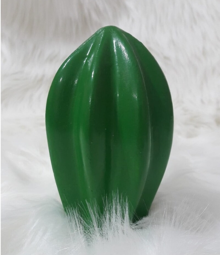 Dikey büyük kaktüs silikon kalip