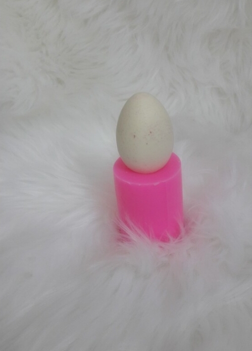 Yumurta silikon kalip